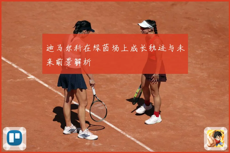 迪马尔科在绿茵场上成长轨迹与未来前景解析