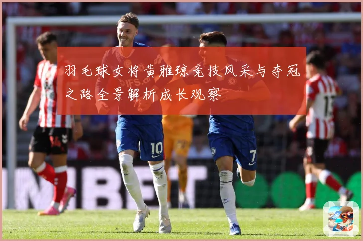 羽毛球女将黄雅琼竞技风采与夺冠之路全景解析成长观察
