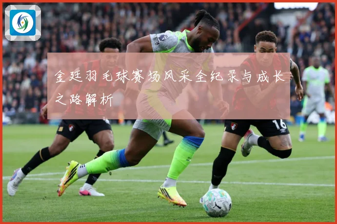 金廷羽毛球赛场风采全纪录与成长之路解析