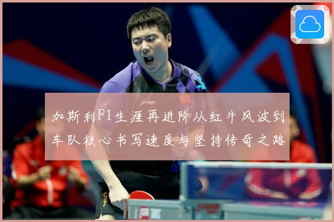 加斯利F1生涯再进阶从红牛风波到车队核心书写速度与坚持传奇之路解析