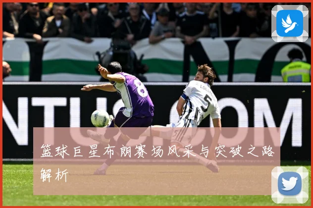 篮球巨星布朗赛场风采与突破之路解析